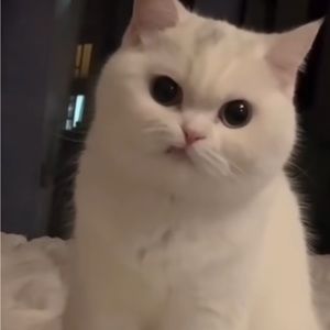 Meet your Posher, Yésica